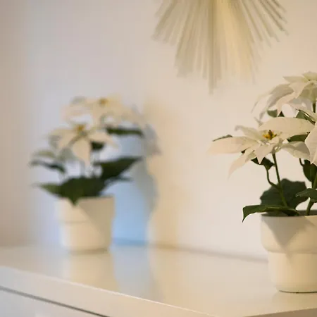 Modern Und Gemuetlich, Mit Balkon Und Netflix In Wehome Komfort * Leimen (Baden)